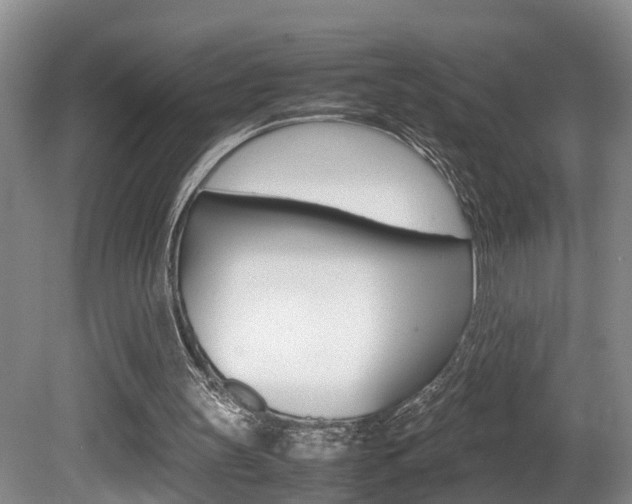 X0000080750147200612151006