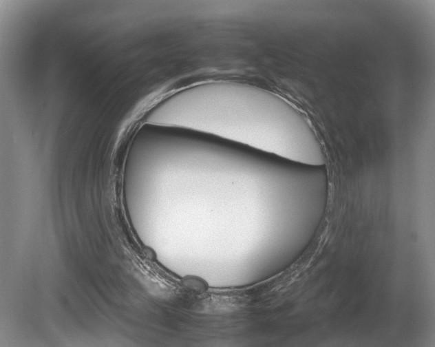 X0000080750149200612151007