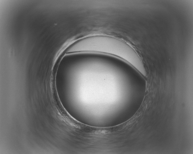 X0000080750152200612151007