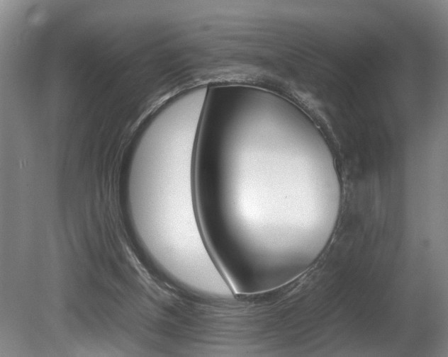 X0000080750154200612151007
