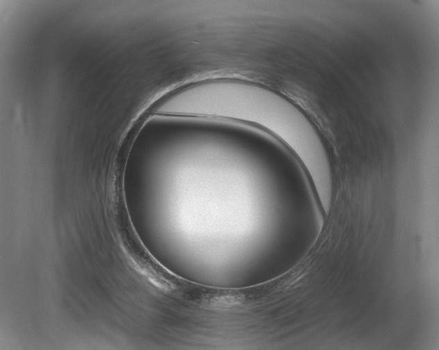 X0000080750156200612151007