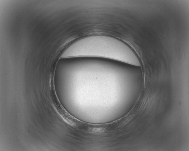 X0000080750157200612151007