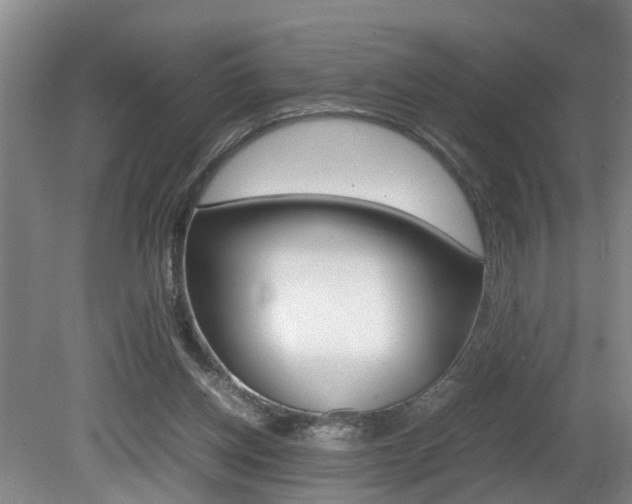 X0000080750158200612151007