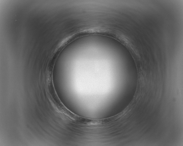 X0000080750164200612151007