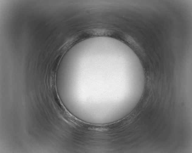 X0000080750165200612151007