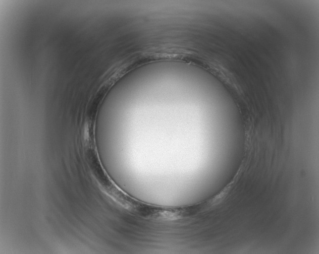 X0000080750166200612151007