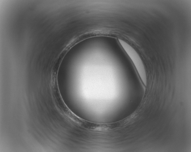 X0000080750168200612151007
