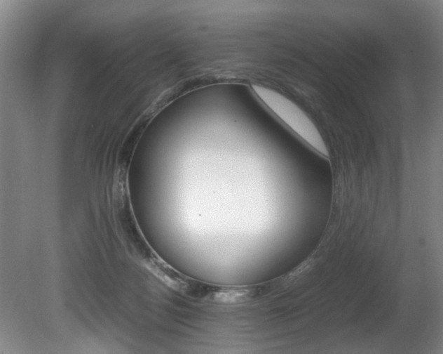 X0000080750172200612151007