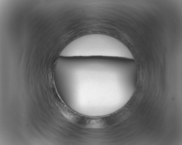 X0000080750173200612151007