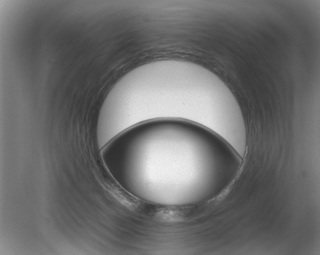 X0000080750174200612151007