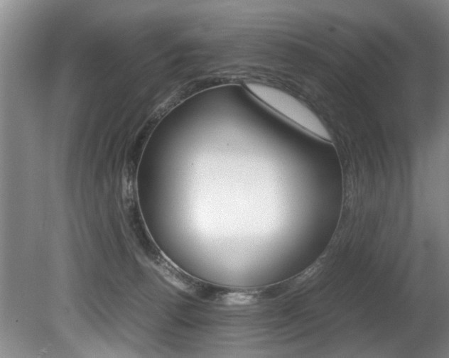 X0000080750176200612151007