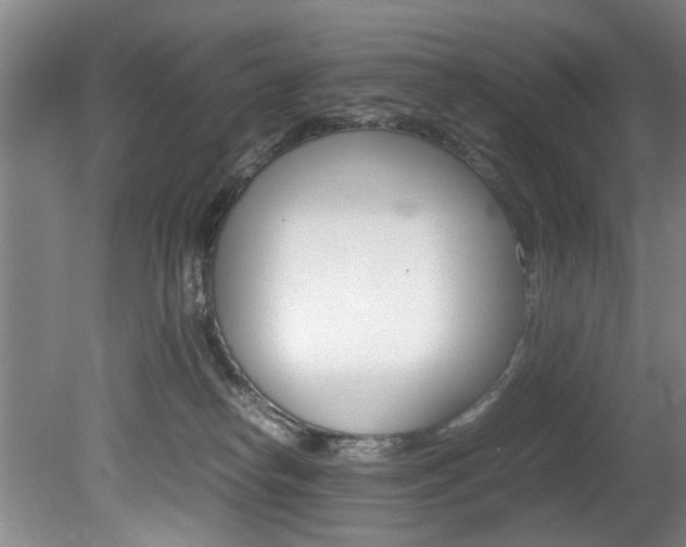 X0000080750182200612151007