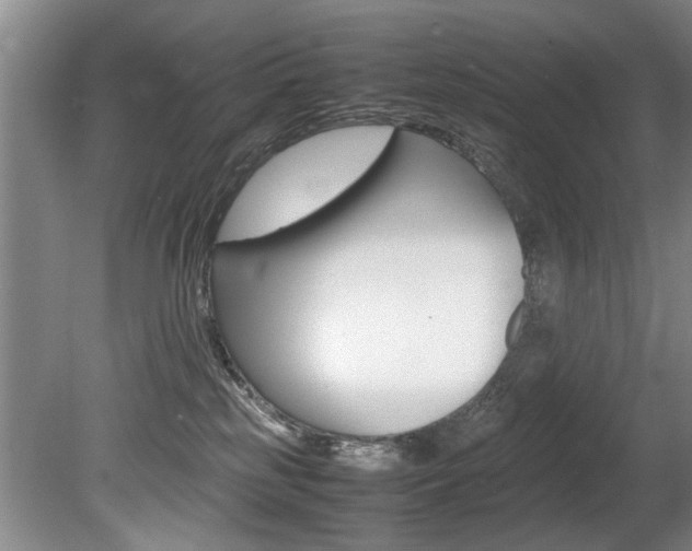 X0000080750185200612151007