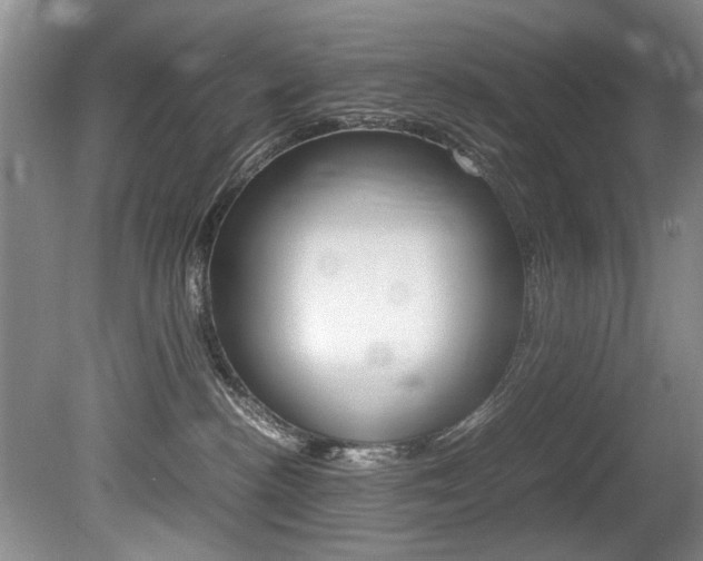 X0000080750188200612151007