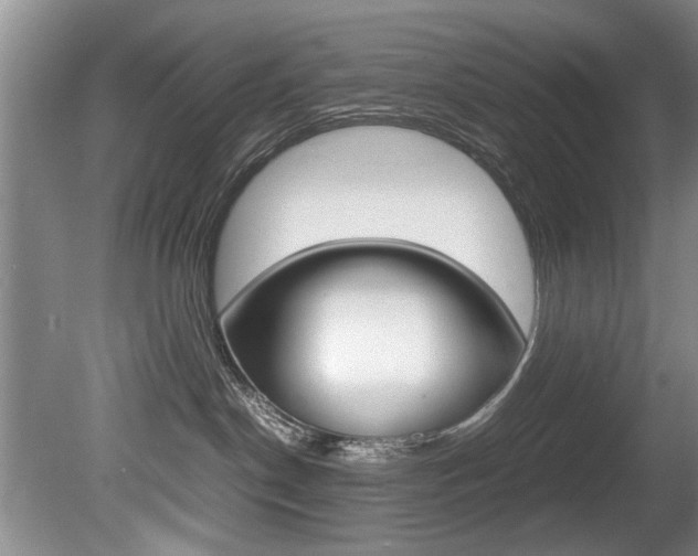 X0000080750190200612151007