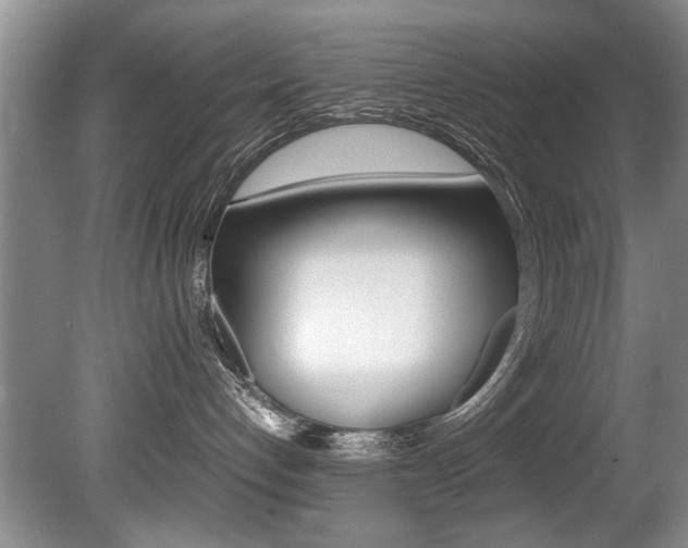 X0000080750192200612151007