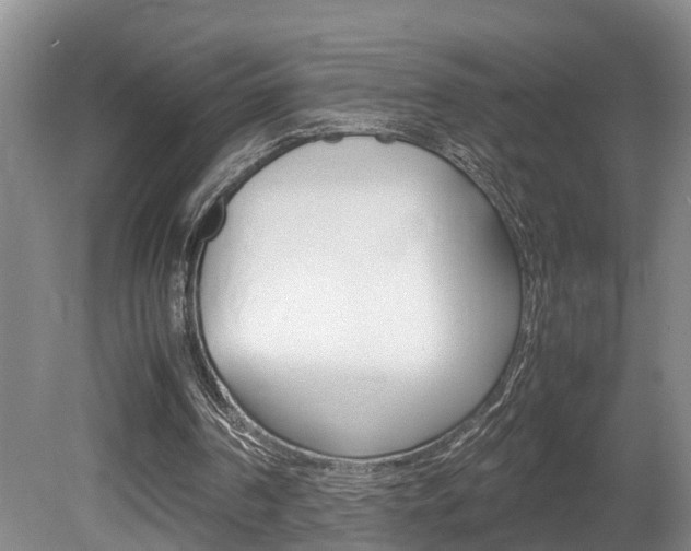 X0000080750194200612151006