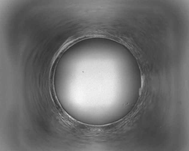 X0000080750195200612151006