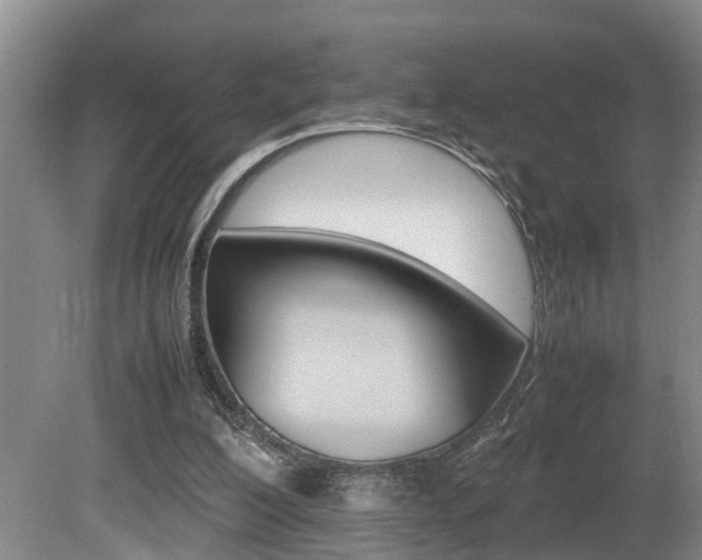 X0000080750200200612151006