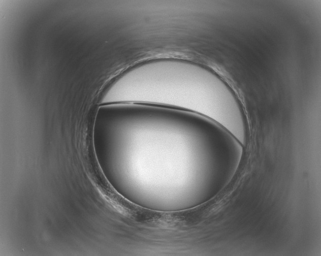 X0000080750201200612151006