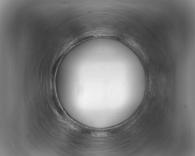 X0000080750202200612151006