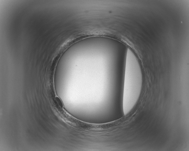 X0000080750203200612151006