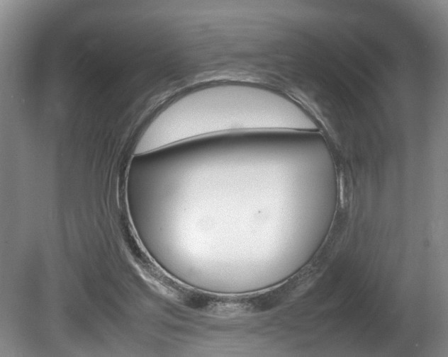 X0000080750205200612151006
