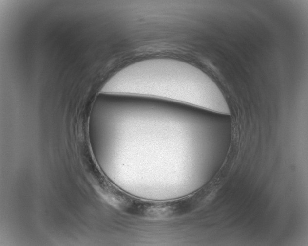 X0000080750213200612151006
