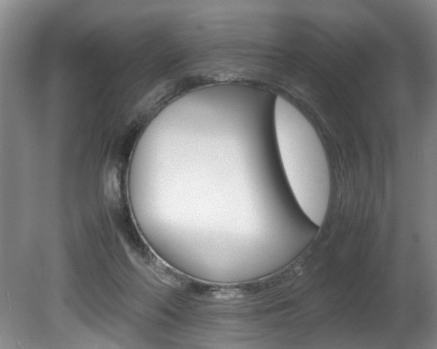 X0000080750214200612151006