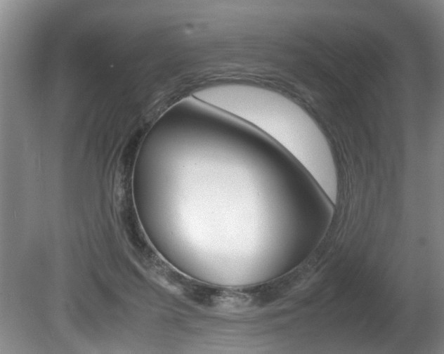 X0000080750215200612151006