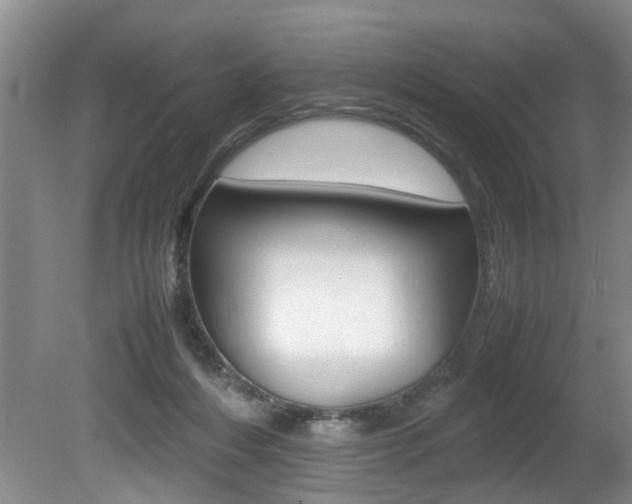 X0000080750216200612151006