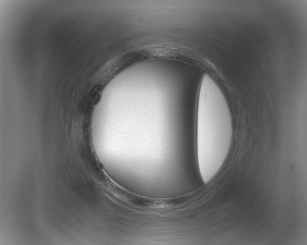X0000080750217200612151006