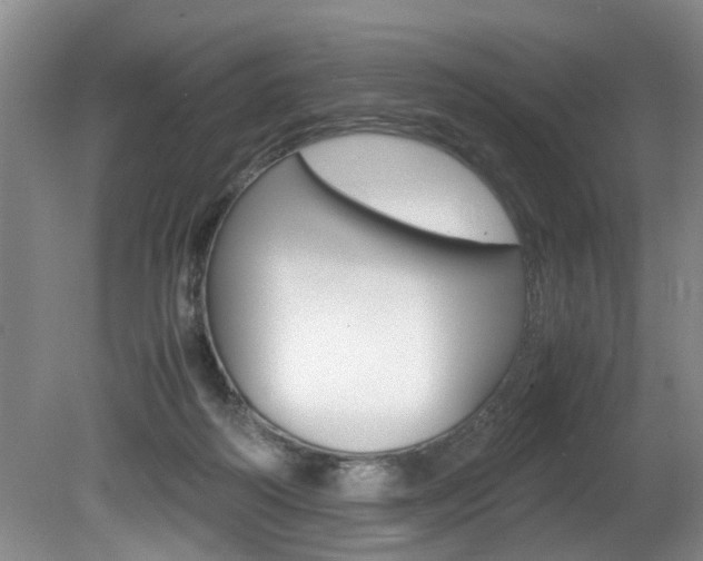 X0000080750218200612151006