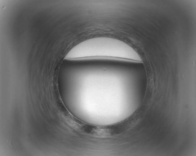 X0000080750221200612151006