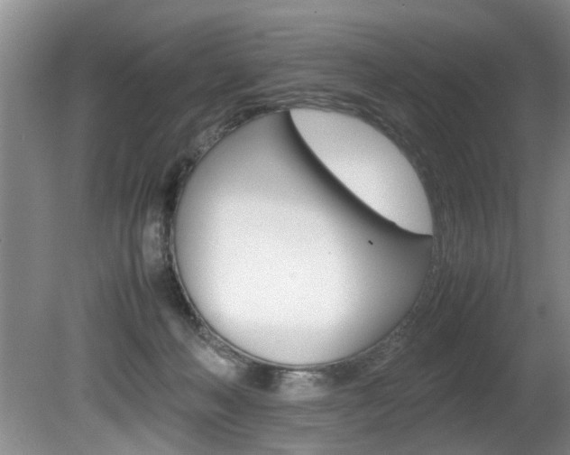 X0000080750222200612151006