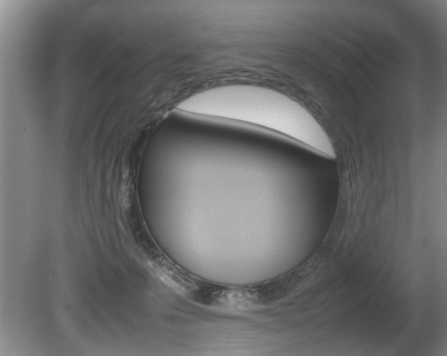 X0000080750223200612151006
