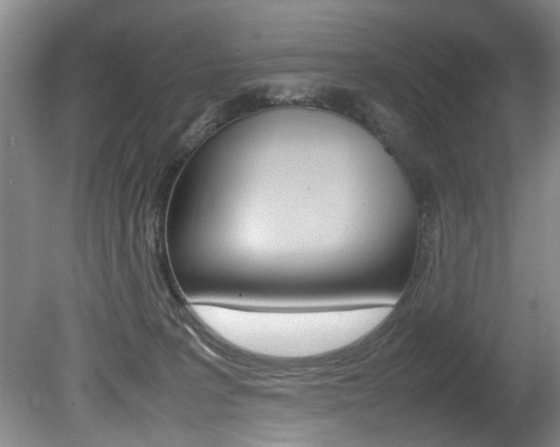 X0000080750227200612151006
