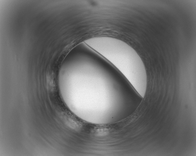X0000080750228200612151006