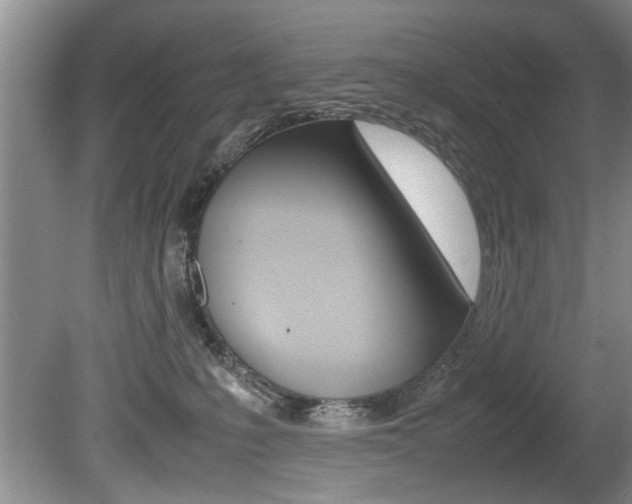 X0000080750231200612151006