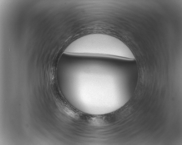 X0000080750232200612151006