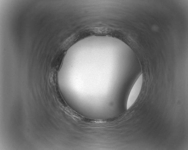 X0000080750233200612151006