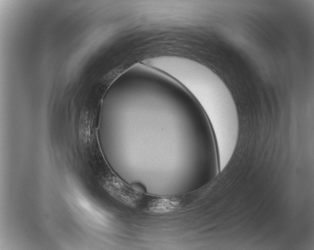 X0000080750239200612151006