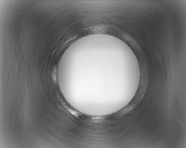 X0000080750240200612151006