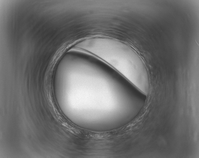 X0000080750241200612151005