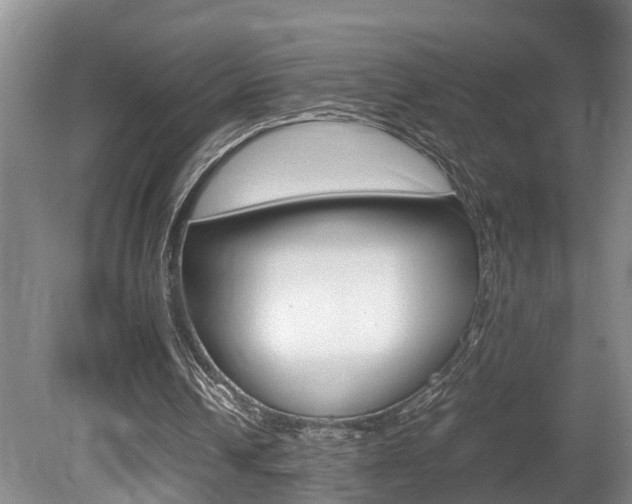 X0000080750242200612151005