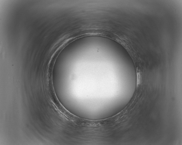 X0000080750243200612151005