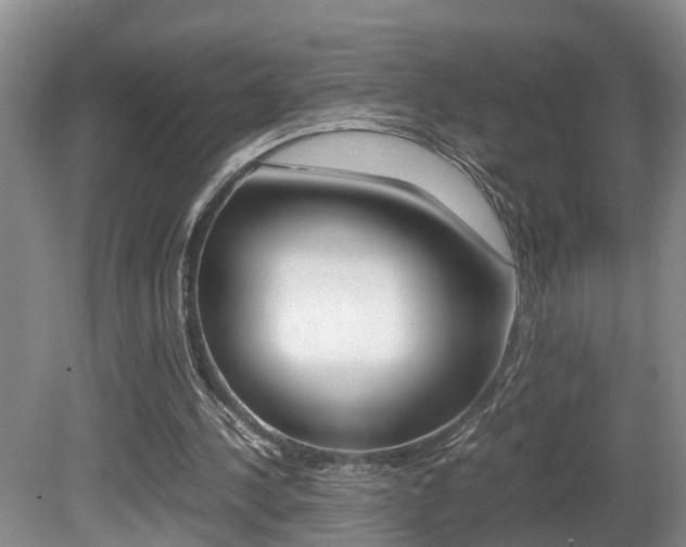 X0000080750244200612151005