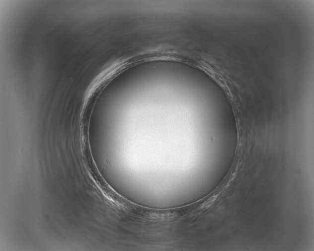 X0000080750245200612151005