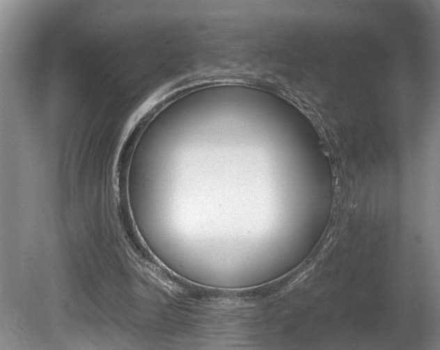 X0000080750246200612151005