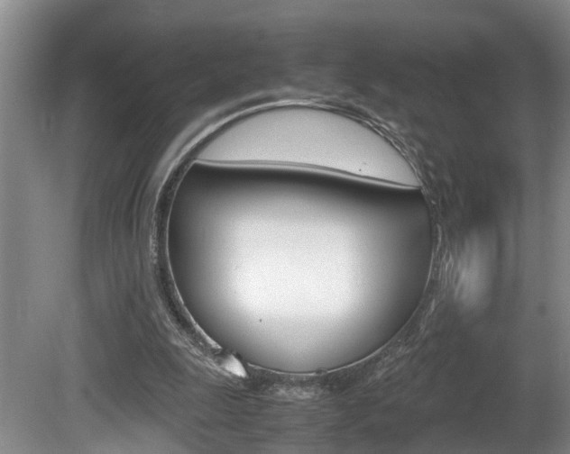 X0000080750247200612151005